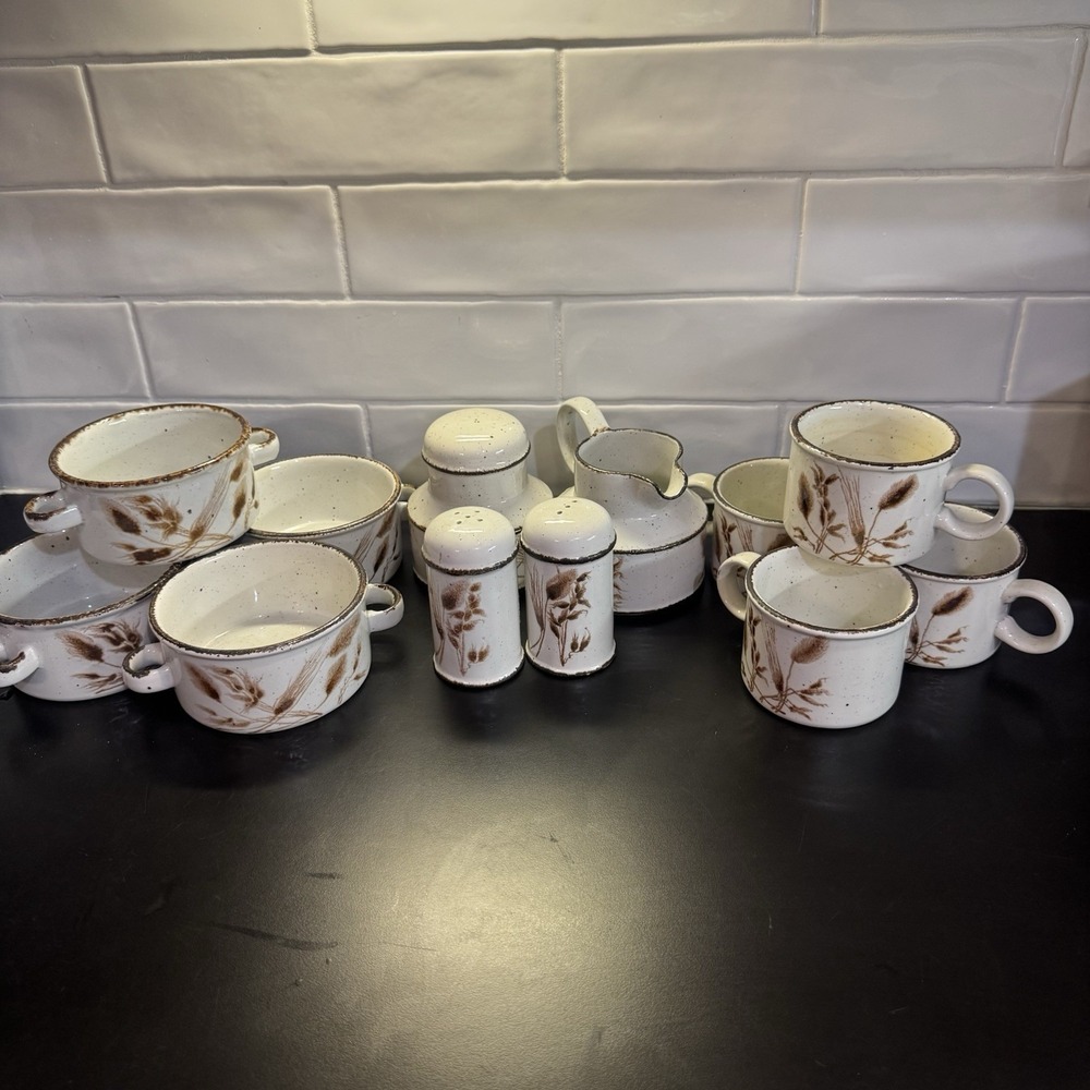 Vintage Stonehenge Midwinter Stoneware Wild Oats Set Of 12